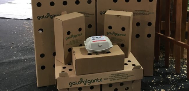 como transportar ovo com segurança