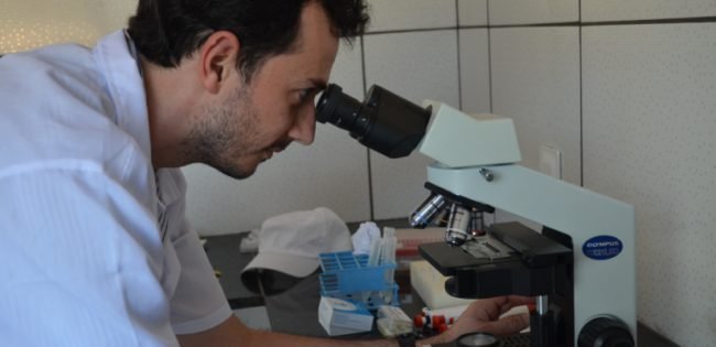 Inseminação Artificial Galo Gigante