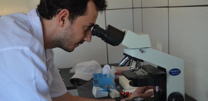 inseminacao-artificial-vantagens-beneficios-blog-galo-gigante Inseminação Artificial Galo Gigante
