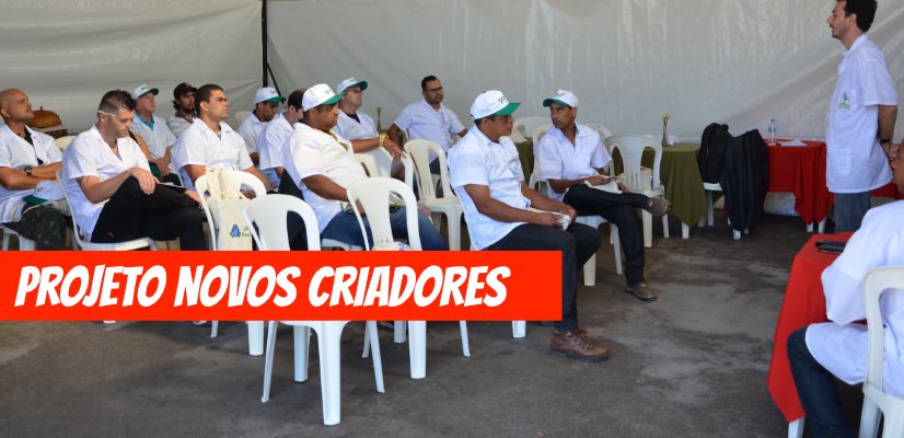 Foto_Blog_Projeto novos criadores 00:10:00