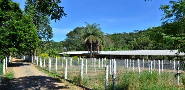 Instalações para Índio Gigante