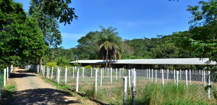 BlogDicas_estrutura Instalações para Índio Gigante