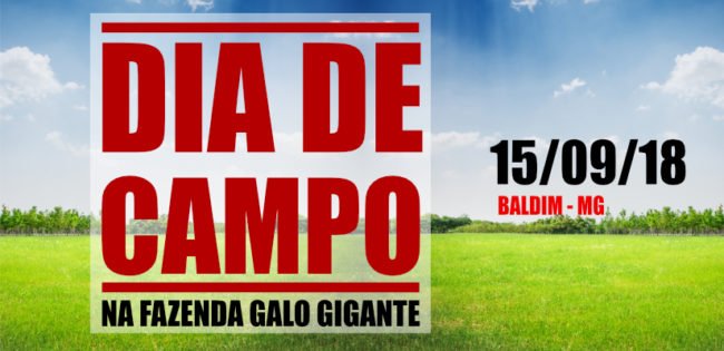 Layout_Blog_Dia de Campo3 Dia de Campo Galo Gigante 2018