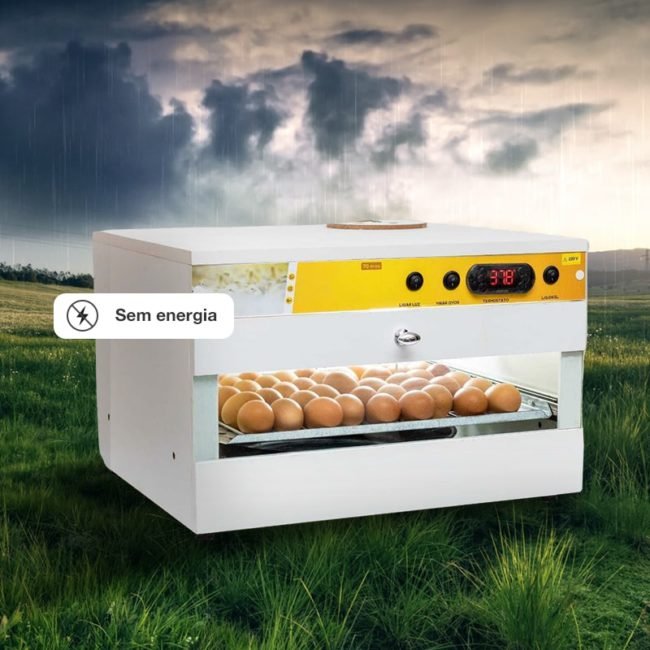 O que fazer se a chocadeira ficar sem energia?