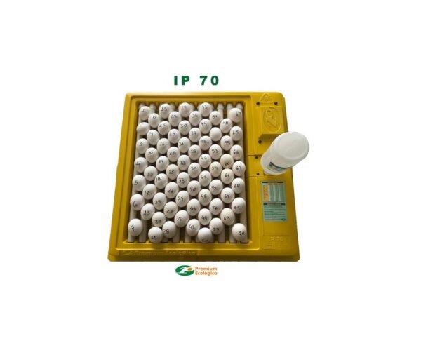 Chocadeira 70 ovos com controle digital de temperatura